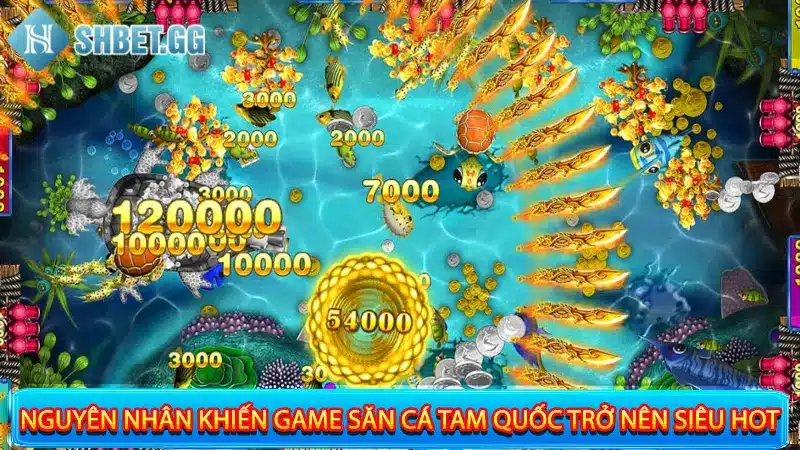 Bắn Cá Tam Quốc - Thiên Đường Số 1 Về Săn Cá Đổi Thưởng 3 Nguyên nhân khiến game săn cá Tam Quốc trở nên siêu hot