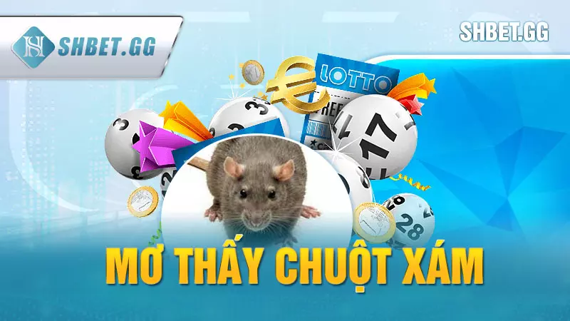 Nằm mơ thấy chuột điềm báo gì? Giải mã giấc mộng chi tiết 6 Mơ thấy chuột xám