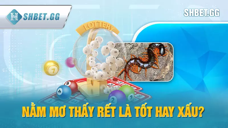 Nằm mơ thấy rết đánh số mấy - Điềm báo tốt hay xấu? 3 Nằm mơ thấy rết là tốt hay xấu?