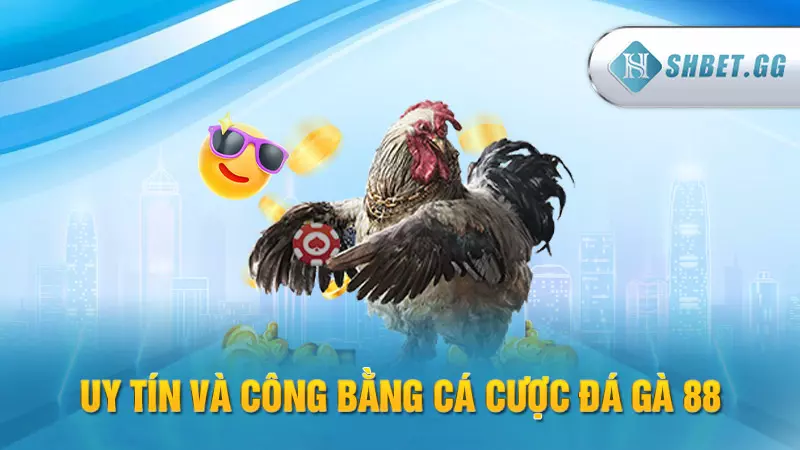 Đá Gà 88 - Trường đá gà trực tuyến đẳng cấp hàng đầu 6 Uy tín và công bằng cá cược đá gà 88