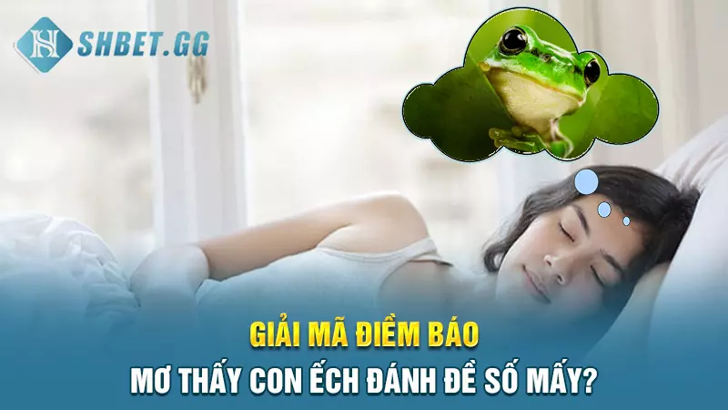 Điềm báo may mắn: Mơ con ếch đánh đề số mấy chuẩn nhất? 5 Giải mã điềm báo mơ thấy con ếch đánh đề số mấy?